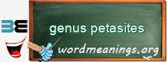 WordMeaning blackboard for genus petasites